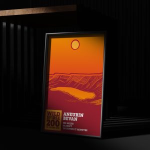 Wild Horse 200 - De Cymru 2025 Ultra Running Print